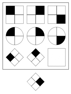 example matrix test with answer