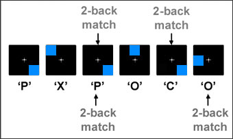 Dual N-Back